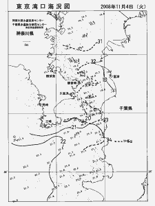 東京湾口海況図(2008/11/04)