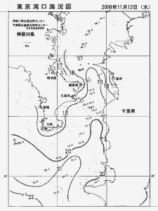 東京湾口海況図(2008/11/12)