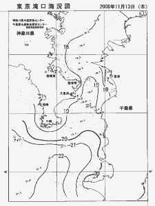 東京湾口海況図(2008/11/13)