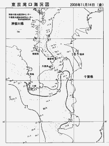 東京湾口海況図(2008/11/14)