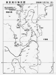 東京湾口海況図(2008/11/17)