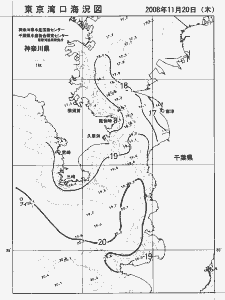東京湾口海況図(2008/11/20)