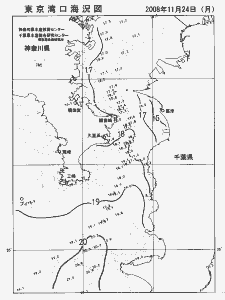 東京湾口海況図(2008/11/24)