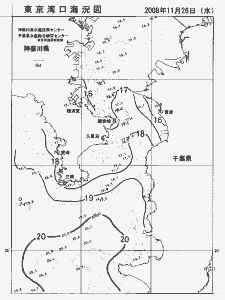 東京湾口海況図(2008/11/26)