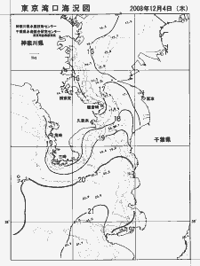 東京湾口海況図(2008/12/04)