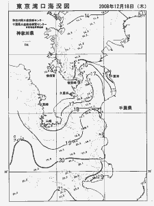 東京湾口海況図(2008/12/18)