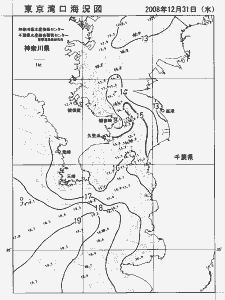 東京湾口海況図(2008/12/31)