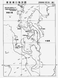 東京湾口海況図(2009/01/02)