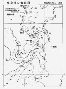 東京湾口海況図(2009/01/05)