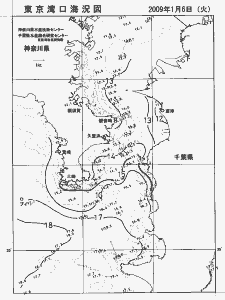 東京湾口海況図(2009/01/06)