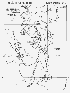 東京湾口海況図(2009/01/15)
