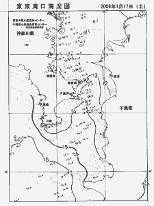 東京湾口海況図(2009/01/17)