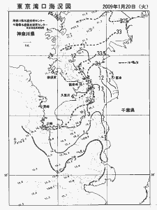 東京湾口海況図(2009/01/20)