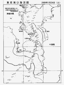 東京湾口海況図(2009/01/24)