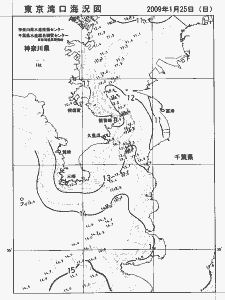 東京湾口海況図(2009/01/25)