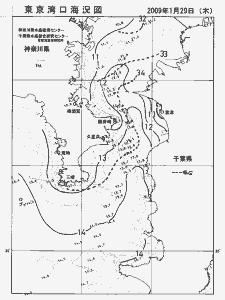 東京湾口海況図(2009/01/29)