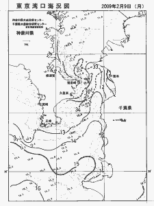 東京湾口海況図(2009/02/09)