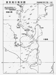 東京湾口海況図(2009/03/17)