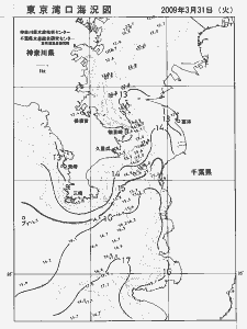 東京湾口海況図(2009/03/31)
