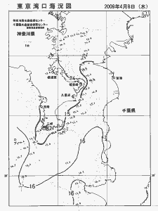 東京湾口海況図(2009/04/08)