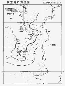 東京湾口海況図(2009/04/09)