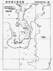 東京湾口海況図(2009/04/10)