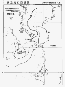 東京湾口海況図(2009/04/11)