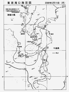 東京湾口海況図(2009/05/11)