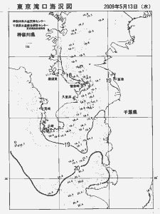 東京湾口海況図(2009/05/13)