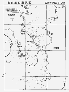 東京湾口海況図(2009/05/20)