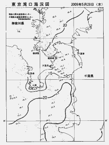 東京湾口海況図(2009/05/28)