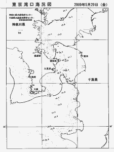 東京湾口海況図(2009/05/29)