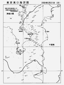 東京湾口海況図(2009/05/31)