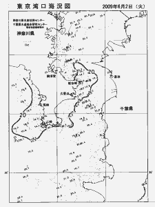 東京湾口海況図(2009/06/02)