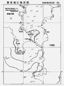 東京湾口海況図(2009/06/08)