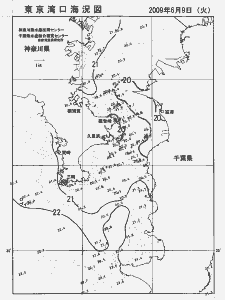 東京湾口海況図(2009/06/09)