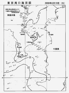 東京湾口海況図(2009/06/10)
