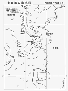 東京湾口海況図(2009/06/23)