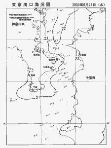東京湾口海況図(2009/06/24)