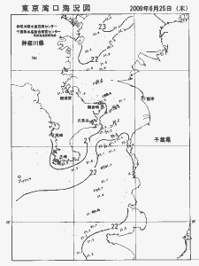 東京湾口海況図(2009/06/25)