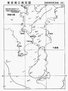 東京湾口海況図(2009/06/28)