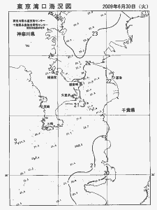 東京湾口海況図(2009/06/30)