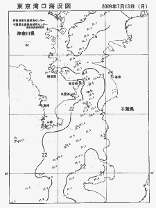 東京湾口海況図(2009/07/13)