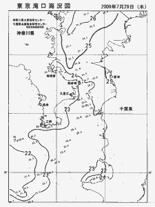 東京湾口海況図(2009/07/29)