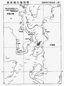 東京湾口海況図(2009/07/30)
