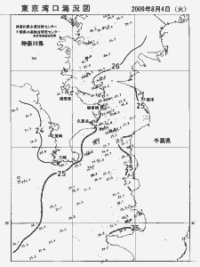 東京湾口海況図(2009/08/04)
