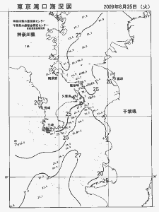 東京湾口海況図(2009/08/25)