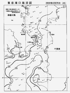 東京湾口海況図(2009/08/26)