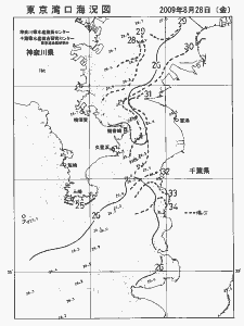 東京湾口海況図(2009/08/28)