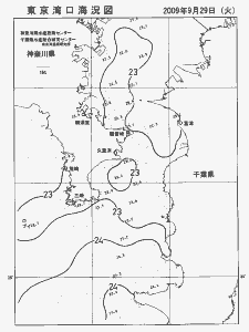 東京湾口海況図(2009/09/29)